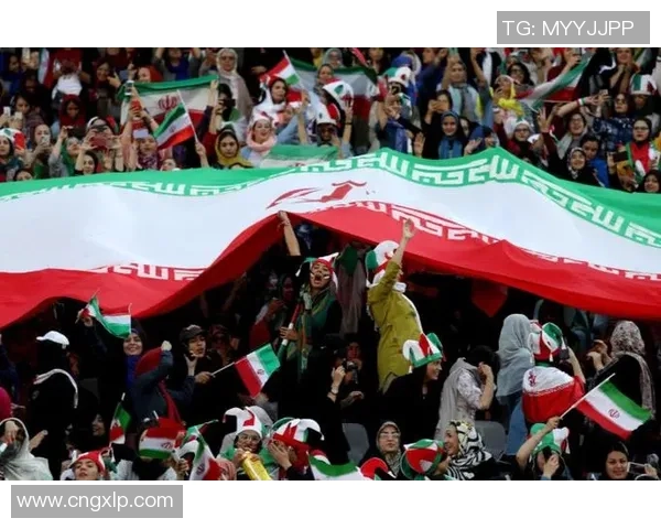 尼日利亚与捷克足球比赛场地分析及观赛体验分享