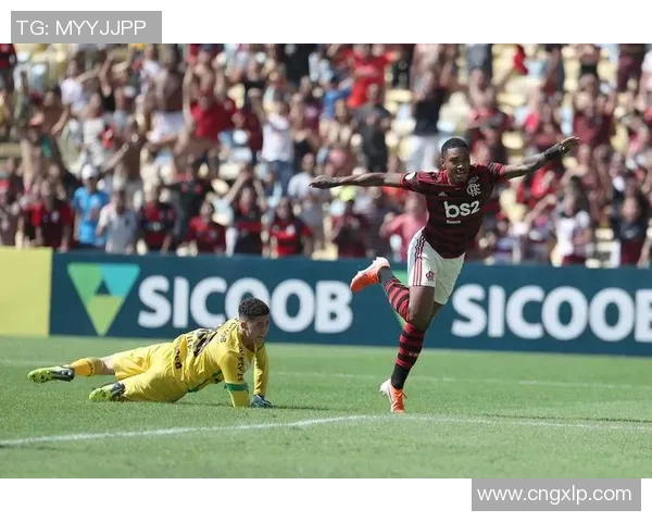 桑托斯对阵弗鲁米嫩的比赛结果分析及精彩瞬间回顾